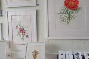 IMG_7072 IMG_7072